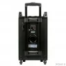 Dialog Oscar AO-210 - акустическая колонка 1.0, 70W RMS, Караоке с беспр. микр, BT+FM+USB+SD+GT