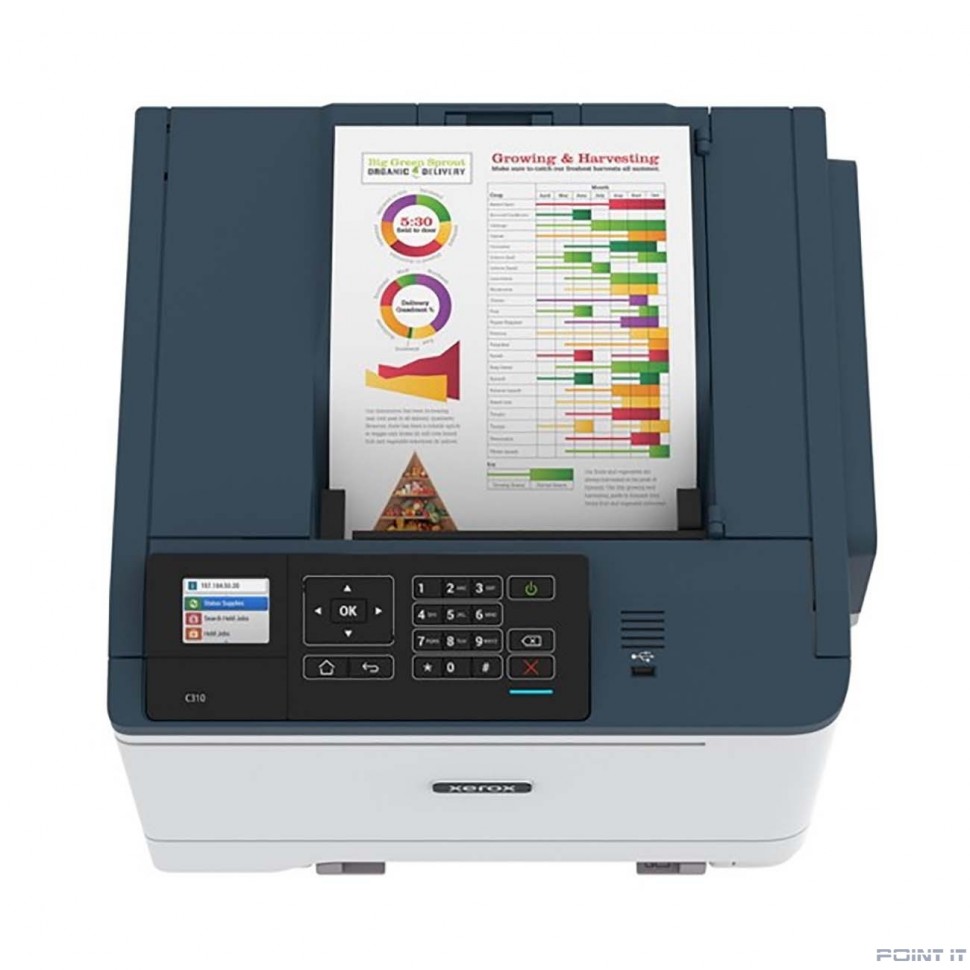 XEROX C310 [C310V_DNI] {Принтер, А4,33стр/мин, аналог 6510}